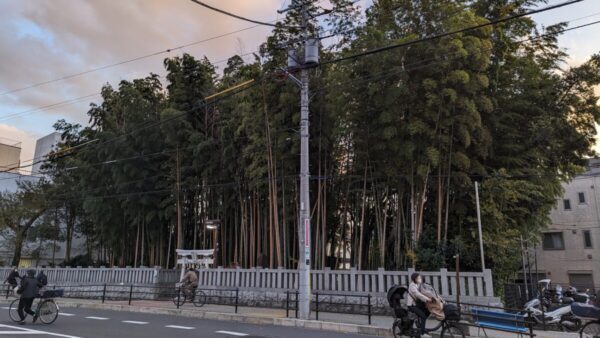 市川の名所　八幡の藪知らず